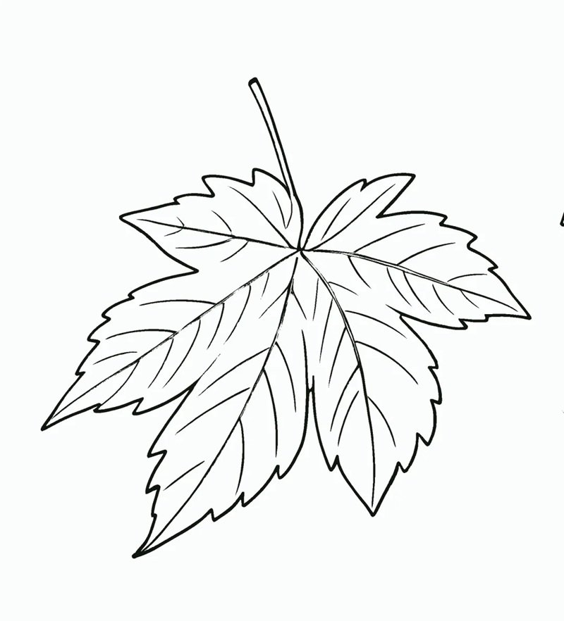 tô màu chiếc lá 22