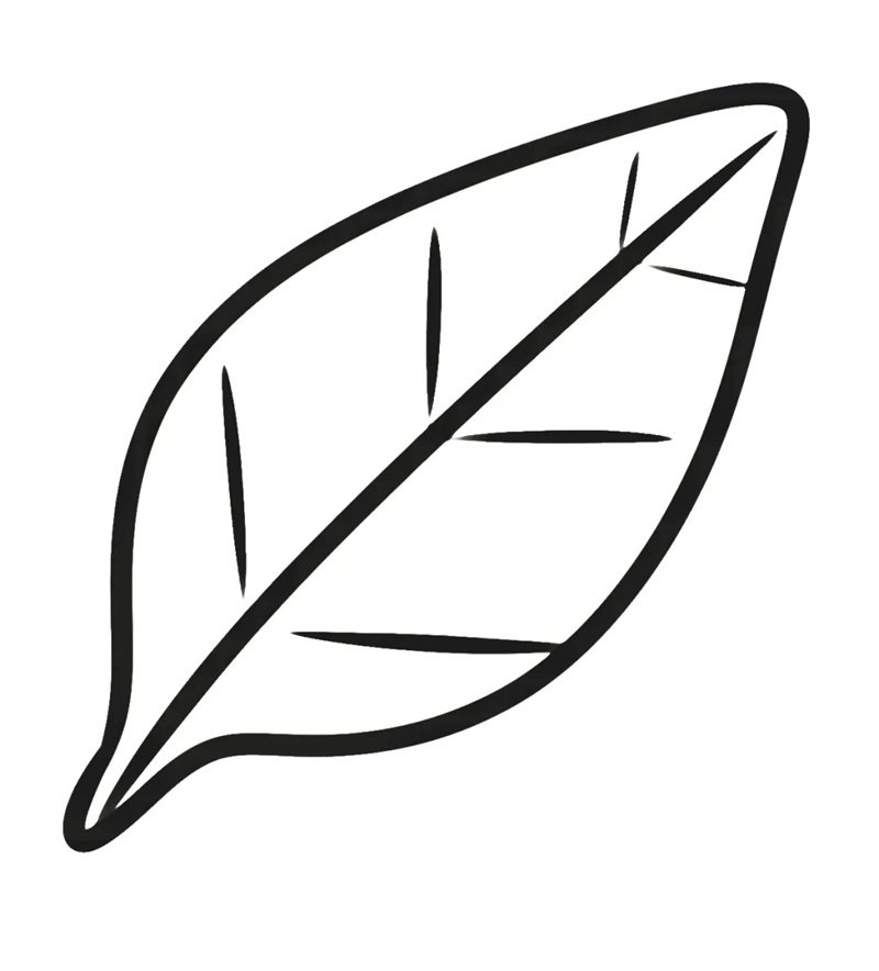 tô màu chiếc lá 26