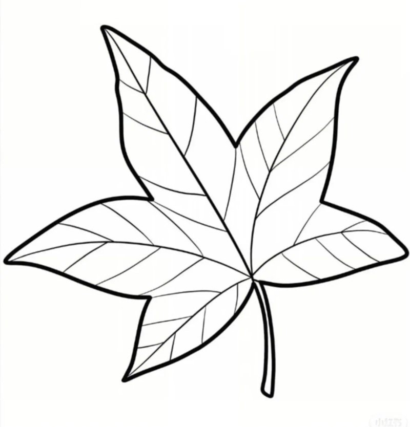 tô màu chiếc lá 27