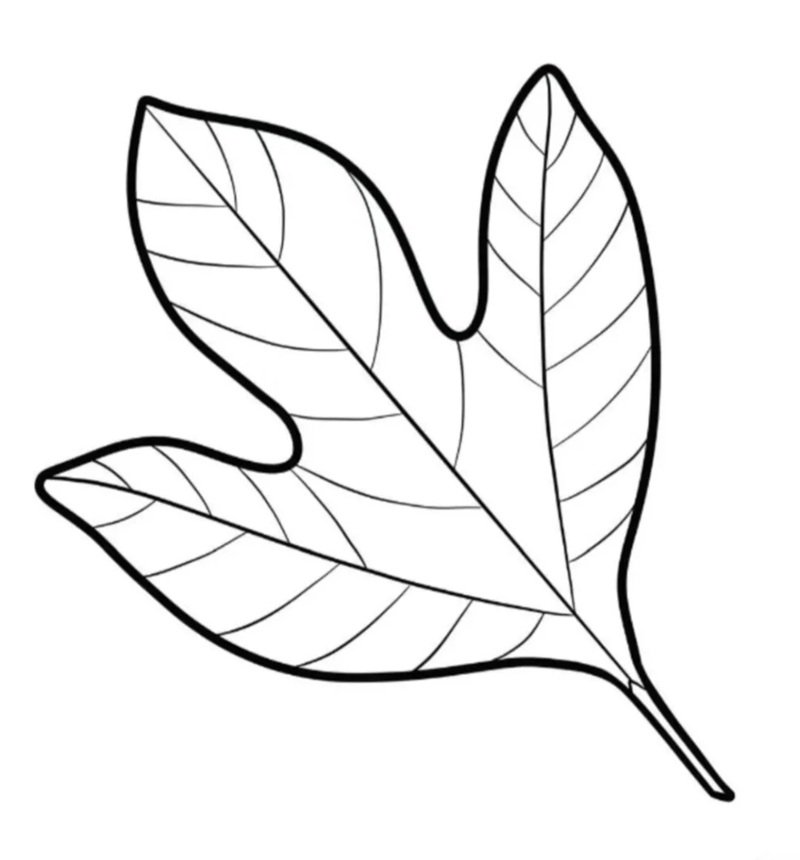 tô màu chiếc lá 29