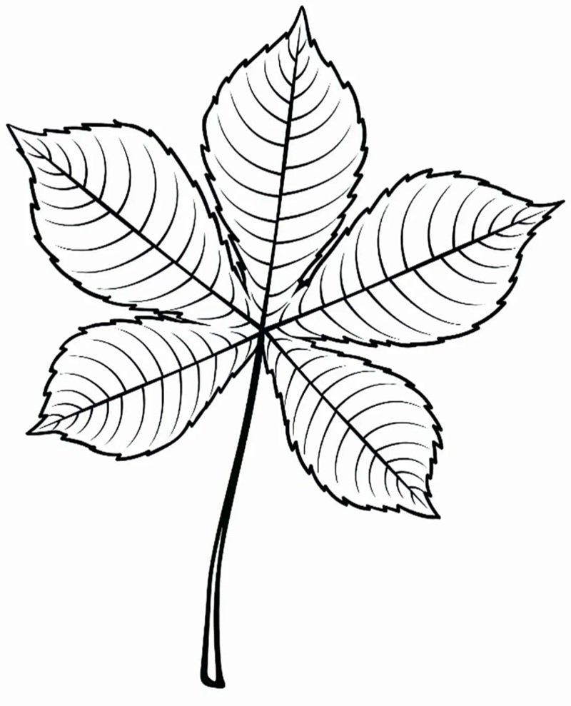 tô màu chiếc lá 3