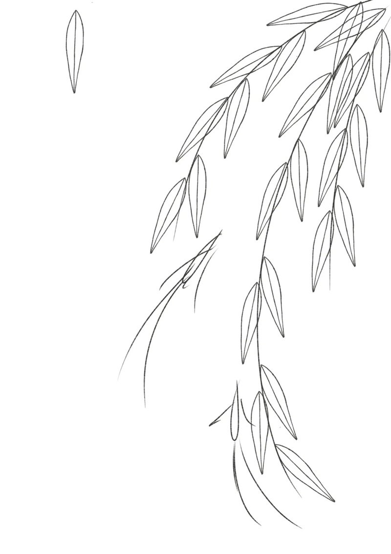 tô màu chiếc lá 30