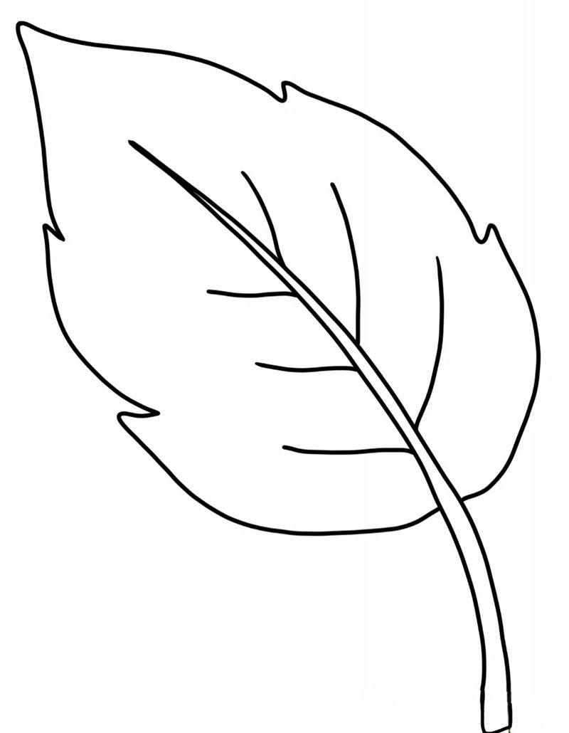 tô màu chiếc lá 33