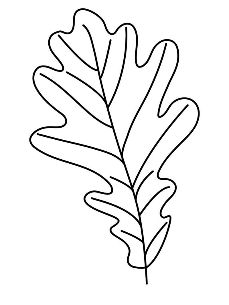 tô màu chiếc lá 39