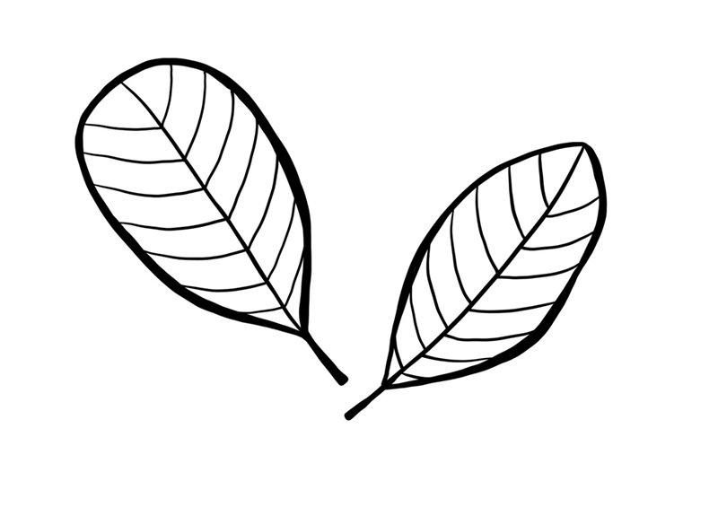 tô màu chiếc lá 4