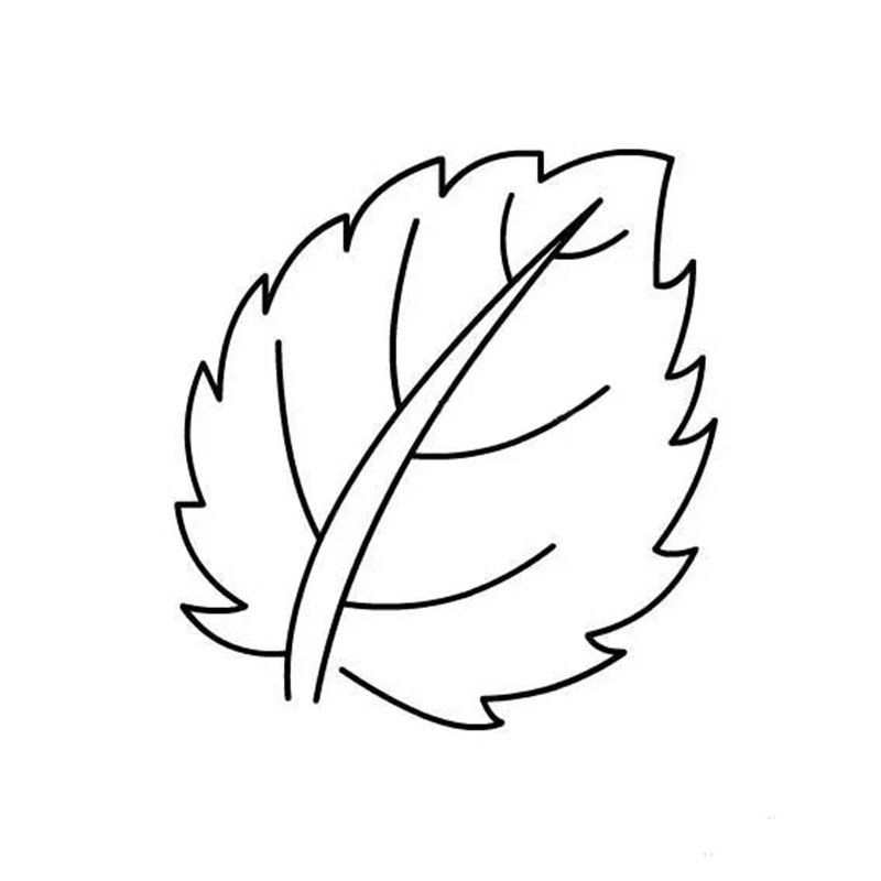 tô màu chiếc lá 6