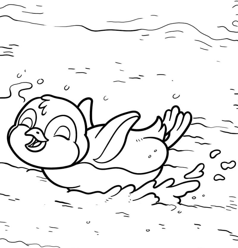 tô màu chim cánh cụt 19