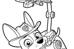 Bộ sưu tập 77+ tranh tô màu chó cứu hộ siêu cute