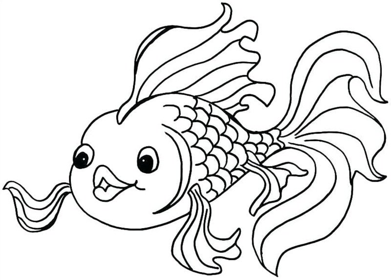 tô màu con cá vàng 13