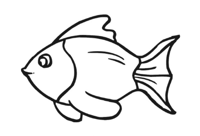 tô màu con cá vàng 25