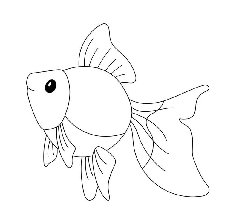 tô màu con cá vàng 3