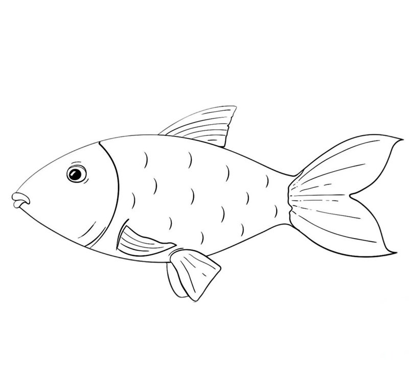 tô màu con cá vàng 31