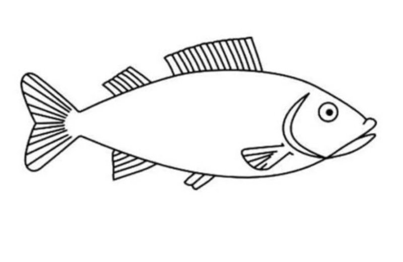 tô màu con cá vàng 40