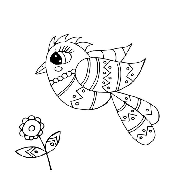 tô màu con chim 12