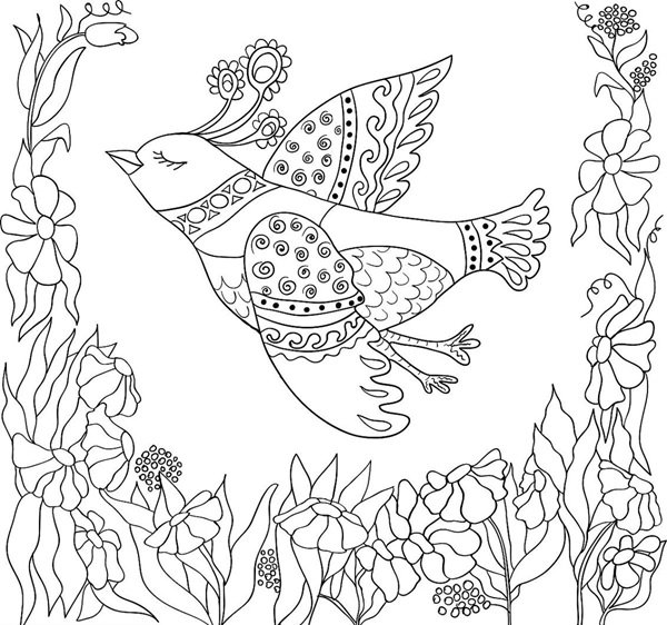 tô màu con chim 13