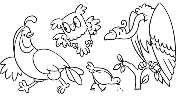 tô màu con chim 14