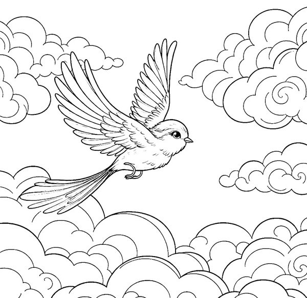 tô màu con chim 15