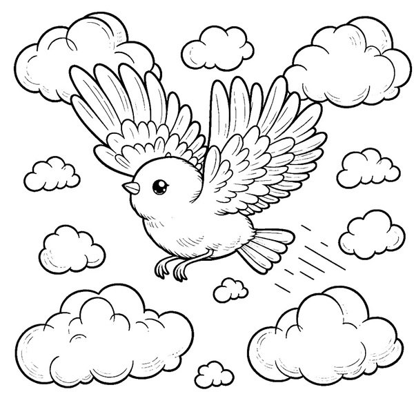 tô màu con chim 16