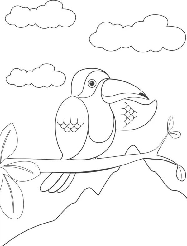 tô màu con chim 18