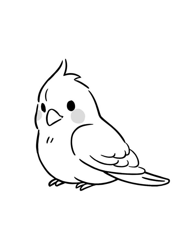 tô màu con chim 19
