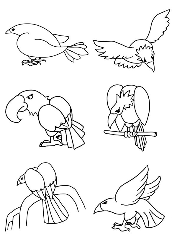 tô màu con chim 26