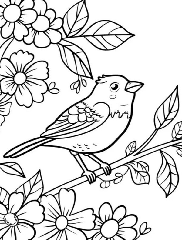 tô màu con chim 32