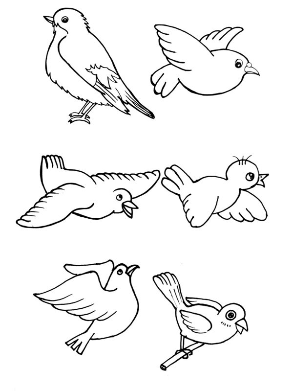 tô màu con chim 38