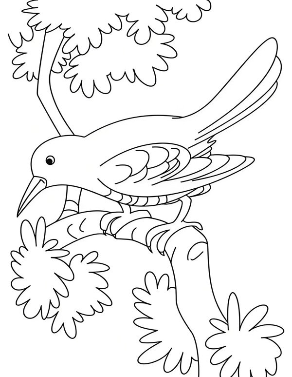 tô màu con chim 4