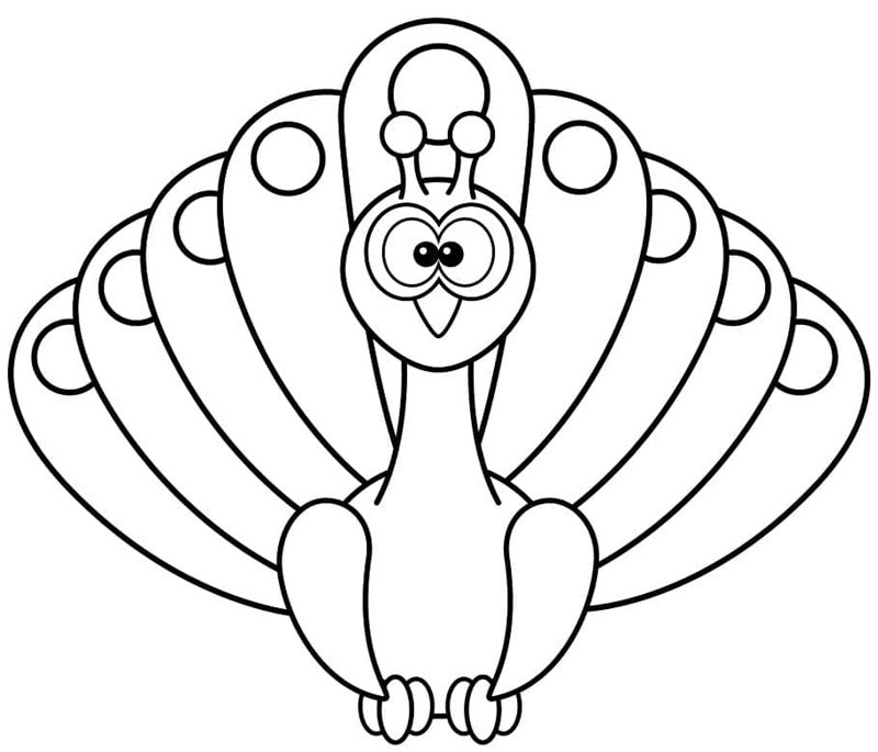 tô màu con công 10