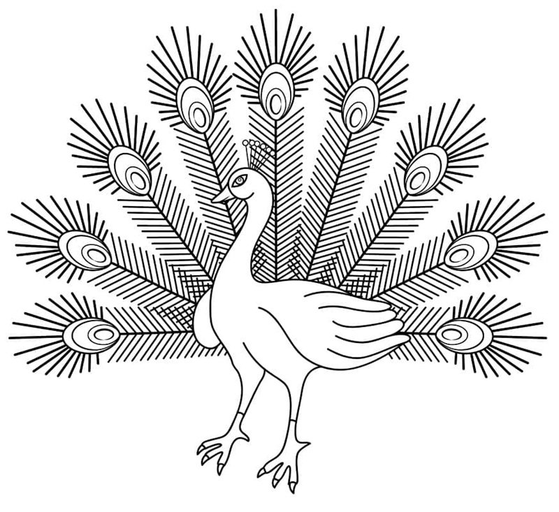 tô màu con công 13