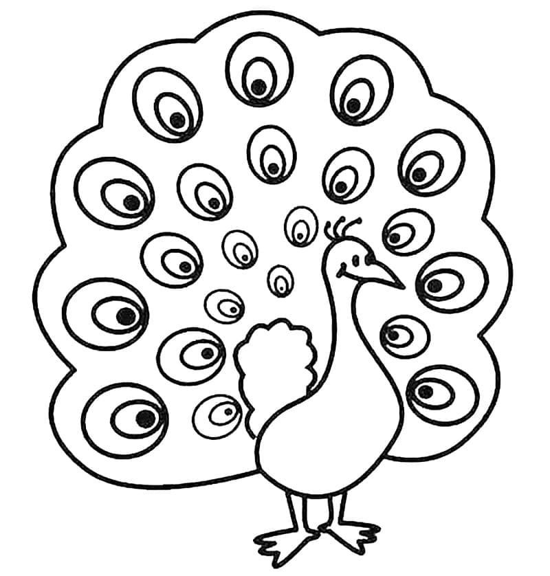 tô màu con công 14