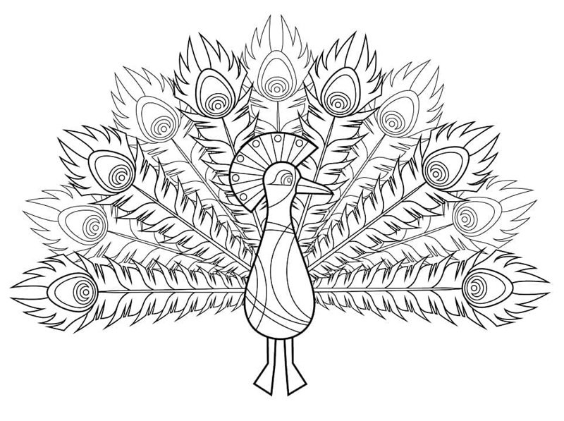 tô màu con công 20