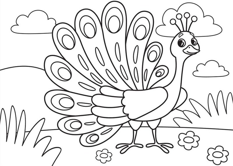 tô màu con công 25