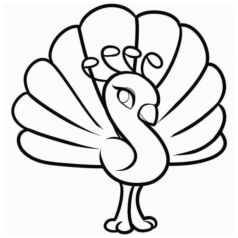 tô màu con công 27