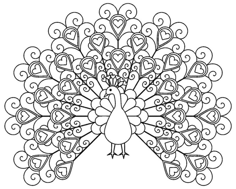 tô màu con công 7