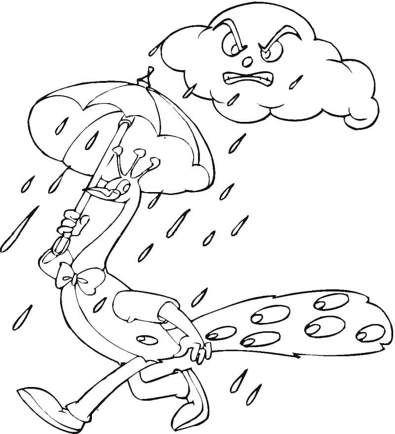 tô màu con công 8