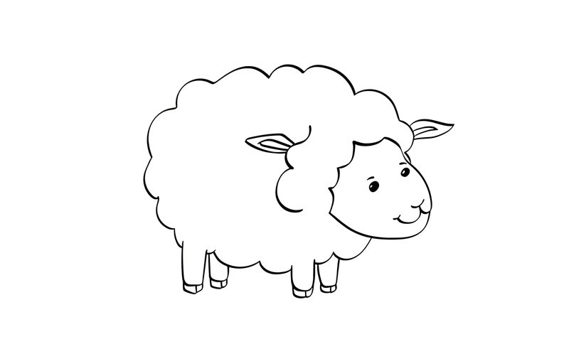 tô màu con cừu 13