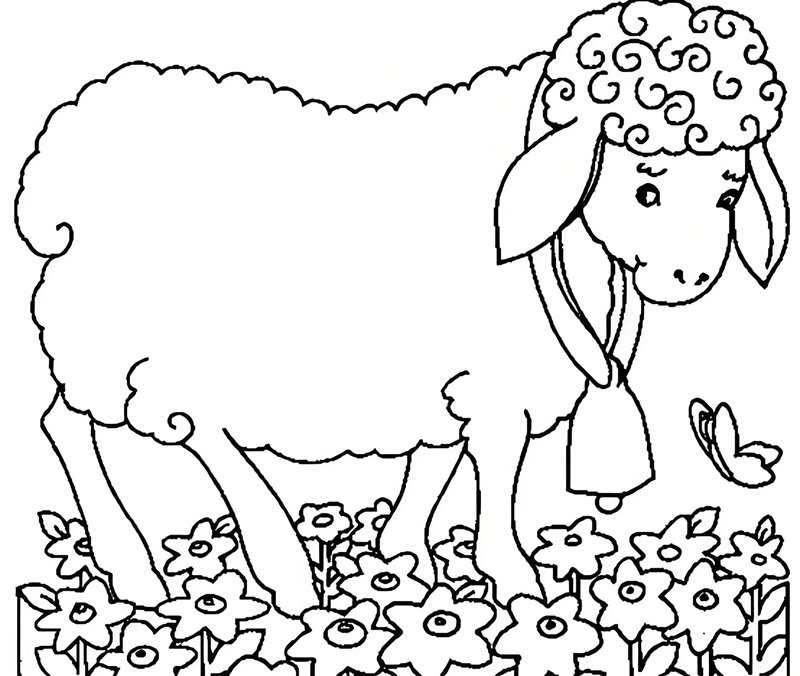 tô màu con cừu 16