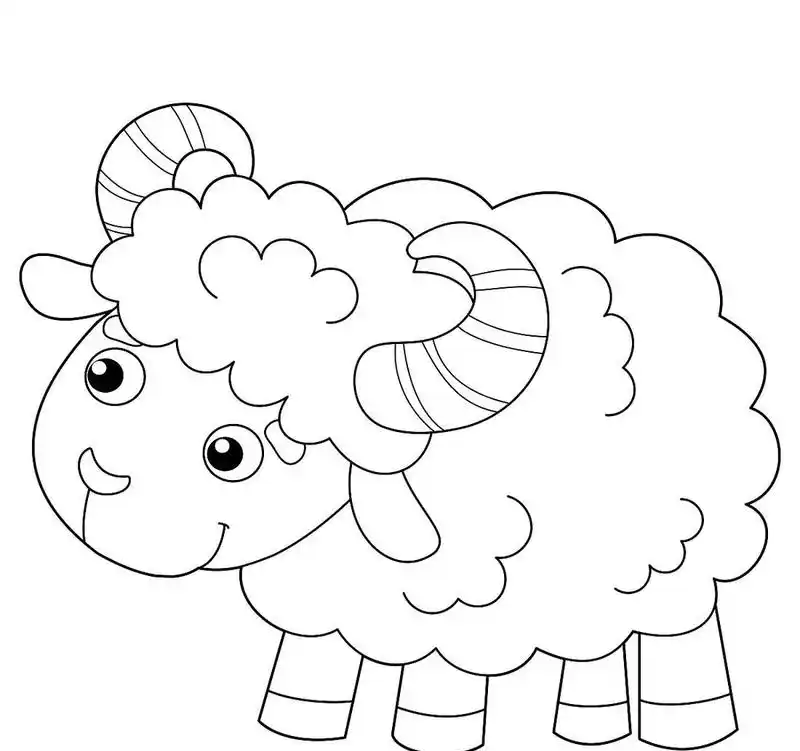 tô màu con cừu 18