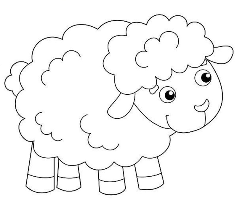 tô màu con cừu 19