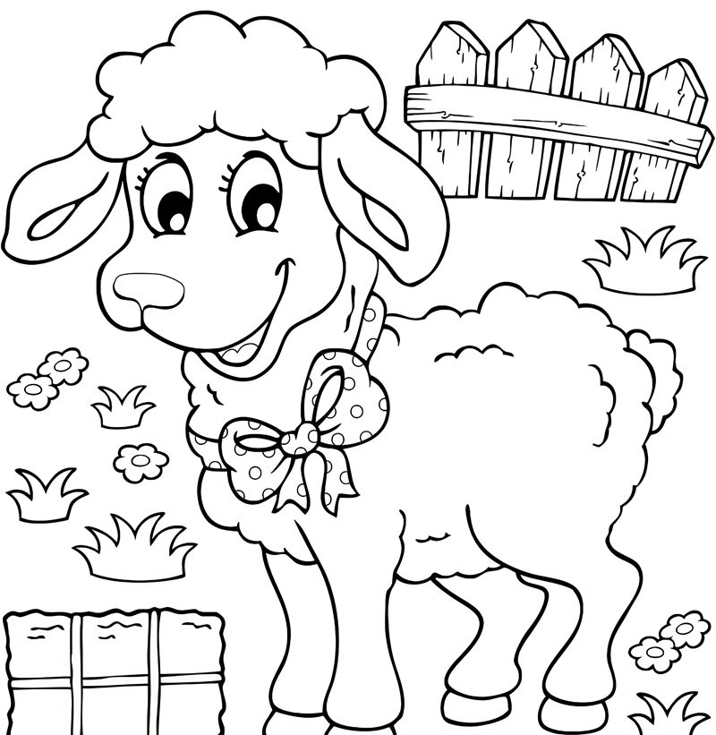 tô màu con cừu 2