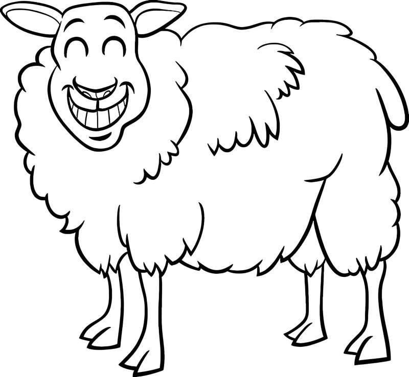 tô màu con cừu 5