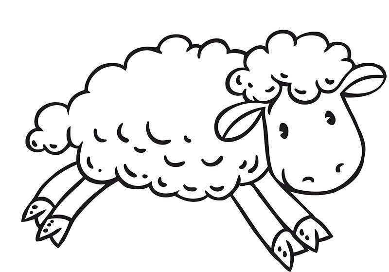 tô màu con cừu 6