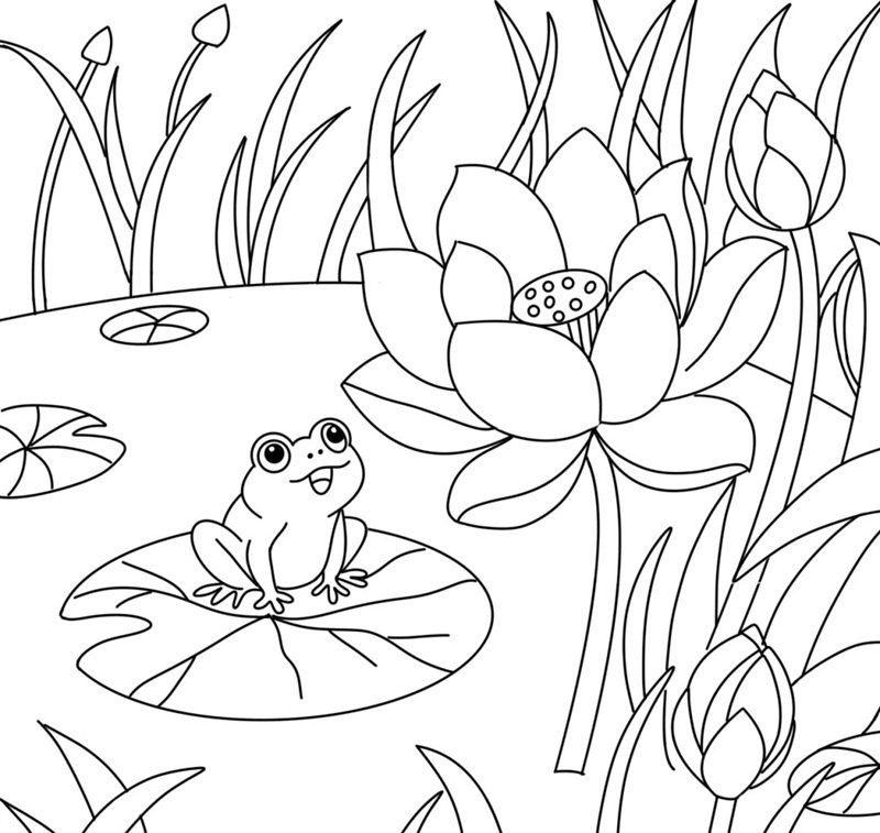 tô màu con ếch 19