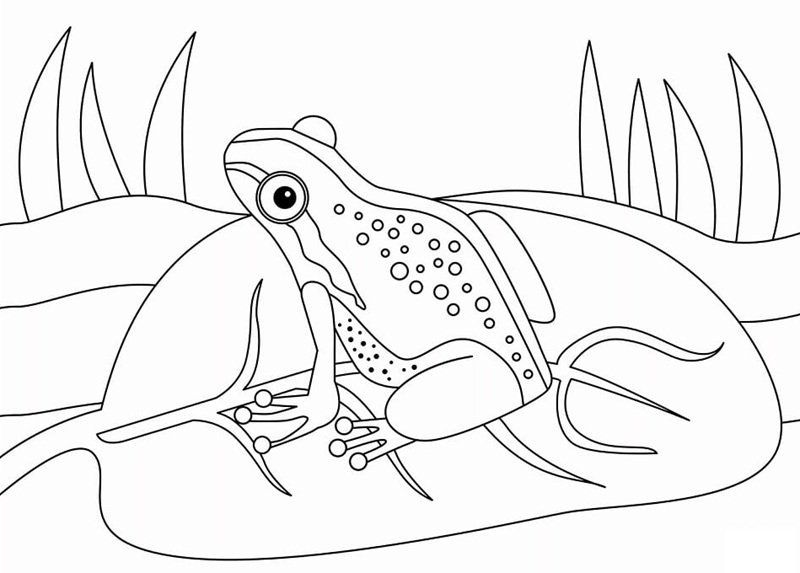 tô màu con ếch 4