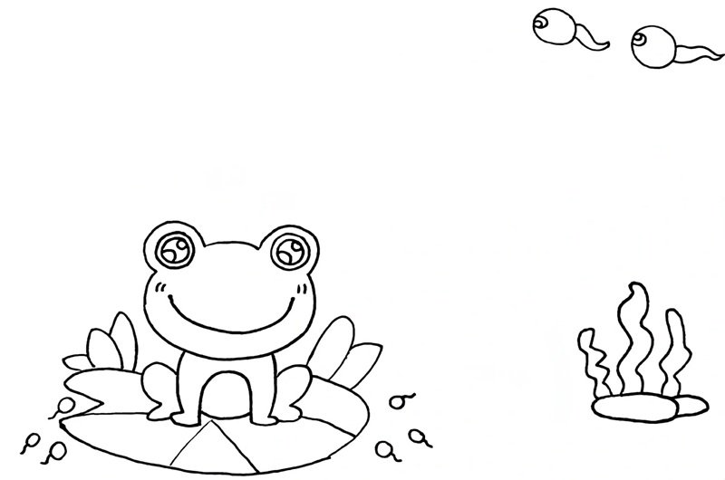 tô màu con ếch 9