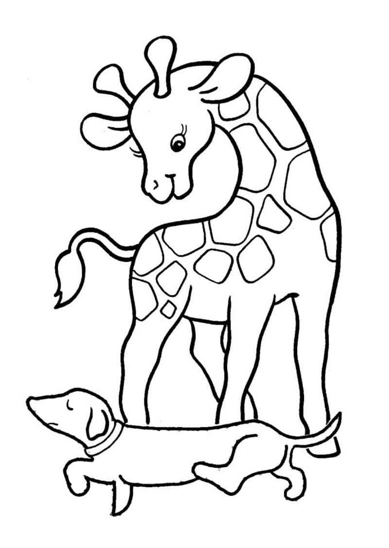 tô màu con hươu cao cổ 17