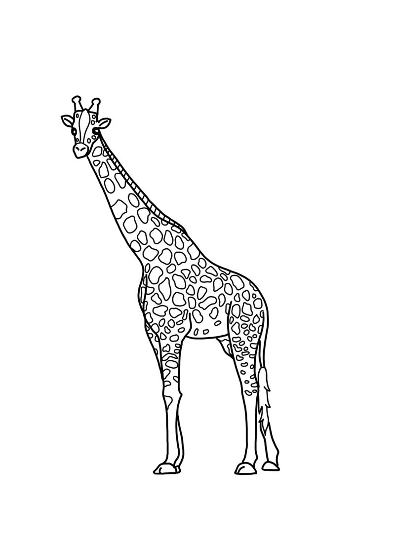 tô màu con hươu cao cổ 33