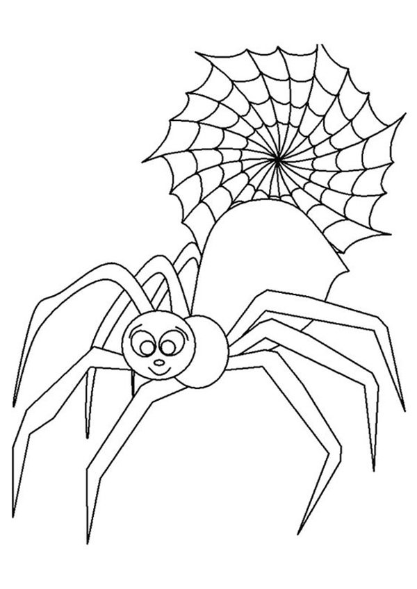 tô màu con nhện 1
