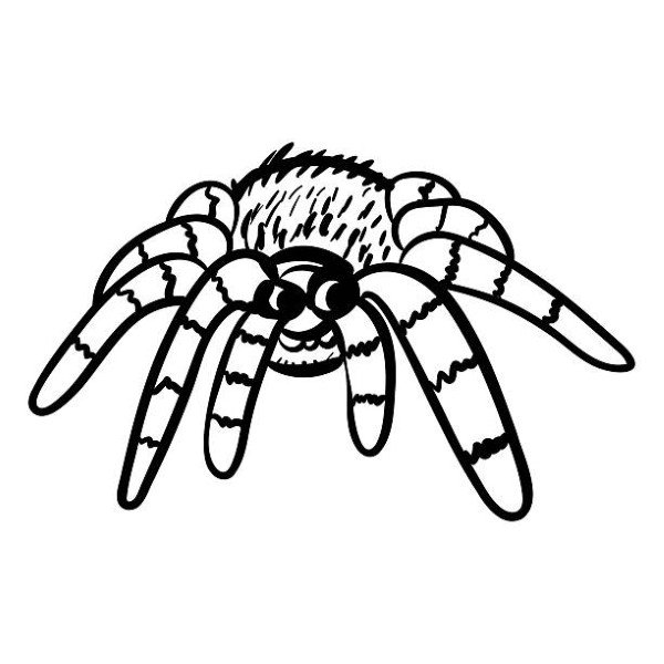 tô màu con nhện 19